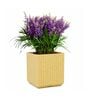 KIA SQ Beige 17 Inch German Polymer Round Plant Container