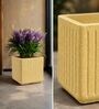 KIA SQ Beige 17 Inch German Polymer Round Plant Container