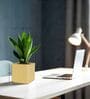 KIA SQ Beige 8 Inch German Polymer Round Plant Container