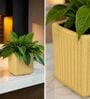KIA SQ Beige 8 Inch German Polymer Round Plant Container
