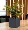 KIA SQ Grey 10 Inch German Polymer Round Plant Container