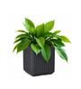 KIA SQ Grey 10 Inch German Polymer Round Plant Container