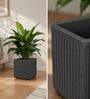KIA SQ Grey 15 Inch German Polymer Round Plant Container