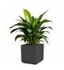 KIA SQ Grey 15 Inch German Polymer Round Plant Container