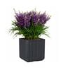 KIA SQ Grey 17 Inch German Polymer Round Plant Container