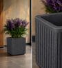 KIA SQ Grey 17 Inch German Polymer Round Plant Container
