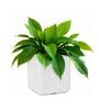KIA SQ Marble White 10 Inch German Polymer Round Plant Container