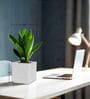 KIA SQ Marble White 10 Inch German Polymer Round Plant Container