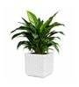 KIA SQ Marble White 15 Inch German Polymer Round Plant Container