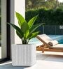 KIA SQ Marble White 17 Inch German Polymer Round Plant Container