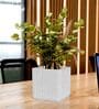 KIA SQ Marble White 8 Inch German Polymer Round Plant Container