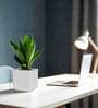 KIA SQ Marble White 8 Inch German Polymer Round Plant Container