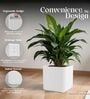 KIA SQ White 12 Inch German Polymer Round Plant Container