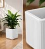 KIA SQ White 15 Inch German Polymer Round Plant Container