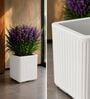 KIA SQ White 17 Inch German Polymer Round Plant Container