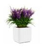 KIA SQ White 17 Inch German Polymer Round Plant Container