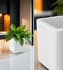 KIA SQ White 8 Inch German Polymer Round Plant Container
