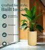 KIA TALL Beige 18 Inch German Polymer Round Plant Container