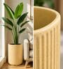 KIA TALL Beige 18 Inch German Polymer Round Plant Container