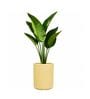 KIA TALL Beige 18 Inch German Polymer Round Plant Container
