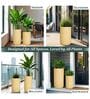 KIA TALL Beige 24 Inch German Polymer Round Plant Container