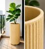 KIA TALL Beige 24 Inch German Polymer Round Plant Container