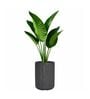 KIA TALL Grey 18 Inch German Polymer Round Plant Container