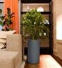 KIA TALL Grey 24 Inch German Polymer Round Plant Container