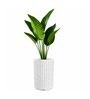 KIA TALL Marble White 18 Inch German Polymer Round Plant Container