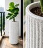 KIA TALL Marble White 24 Inch German Polymer Round Plant Container