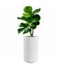 KIA TALL Marble White 24 Inch German Polymer Round Plant Container