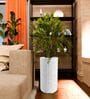 KIA TALL Marble White 24 Inch German Polymer Round Plant Container
