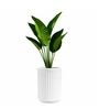 KIA TALL White 18 Inch German Polymer Round Plant Container