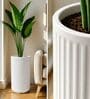 KIA TALL White 18 Inch German Polymer Round Plant Container