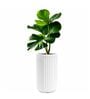 KIA TALL White 24 Inch German Polymer Round Plant Container