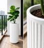KIA TALL White 24 Inch German Polymer Round Plant Container
