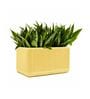 KIA TRA Beige 24 Inch German Polymer Round Plant Container