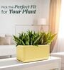KIA TRA Beige 24 Inch German Polymer Round Plant Container