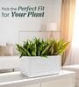 KIA TRA Marble White 24 Inch German Polymer Round Plant Container