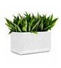 KIA TRA Marble White 24 Inch German Polymer Round Plant Container