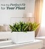 KIA TRA White 24 Inch German Polymer Round Plant Container