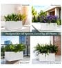 KIA TRA White 24 Inch German Polymer Round Plant Container