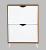 Kibo 12 Pair 2 Tier Shoe Cabinet In Lyon Walnut Finish