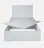 Kibo Single Bed In Off White Finish