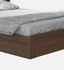 Kimi King Size Bed in Brown Finish with Headboard & Box Storage