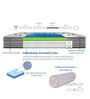 King  Size (84 x 72) 12 Inches Medium Soft Eurotop Pocket Spring Mattress