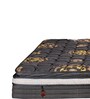 King of Dreams 12 Inch Pocket Spring & Latex Foam & Memory Foam Mattress In King Size