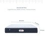 King Size (80 x 72 ) 8 Inch Medium Firm Bonnell Spring & Foam ProActive Plus Collection Mattress