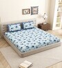Blue Floral 144 TC Cotton King Size  King Size Bedsheet With 2 Pillow Cover