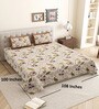 Brown Beige Floral 144 TC Cotton King Size  King Size Bedsheet With 2 Pillow Cover